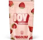 Petits bourgeons de FRAGOLINA, offrant des arômes floraux et de fruits rouges, avec une nuance subtile de fraise, cultivés sous serre pour une qualité optimale.