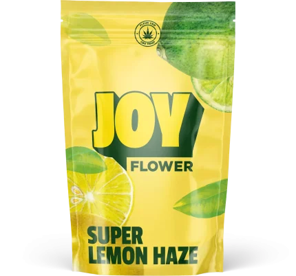 Fleur CBD Super Lemon Haze, avec ses arômes citronnés intenses, cultivée en indoor pour une expérience de fraîcheur et de qualité exceptionnelle.