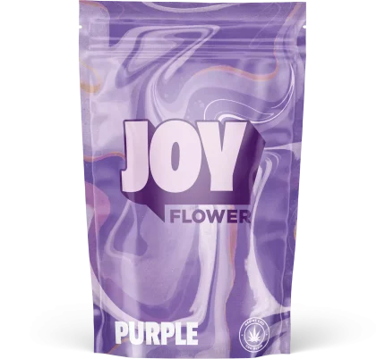 Fleur CBD Purple avec ses nuances pourprées et ses saveurs florales et fruitées, cultivée en hydroponie pour une qualité supérieure.